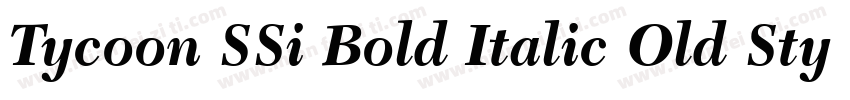 Tycoon SSi Bold Italic Old Style Figures字体转换